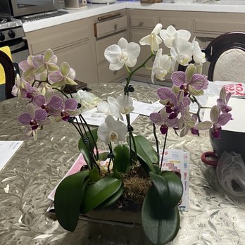 Baldwin Park Florist - Florists Near Me - Baldwin Park, California