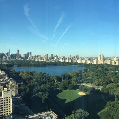 1214 Fifth Avenue Luxury Apartments by null