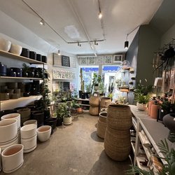 Diameter Plants