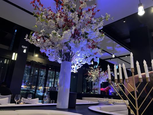 STK Steakhouse by null