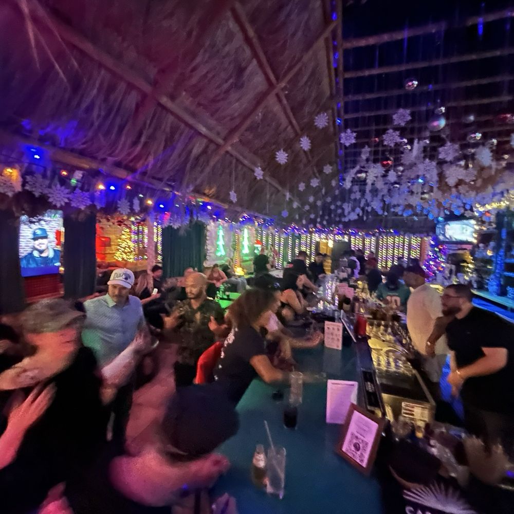The Dead Flamingo - Lounges Near Me - Miami, Florida The Dead Flamingo - Lounges Near Me - Miami, Florida