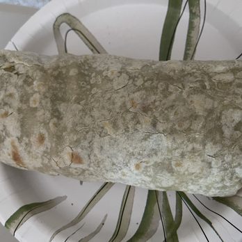 Cotija's Taco Shop - Top view of Carne Asada Burrito. Nice and Thick! - Mexican Near Me - Temecula, California Cotija's Taco Shop - Top view of Carne Asada Burrito. Nice and Thick! - Mexican Near Me - Temecula, California