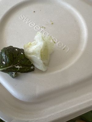 sweetgreen - Healthy Salads, Bowls and Plates by null