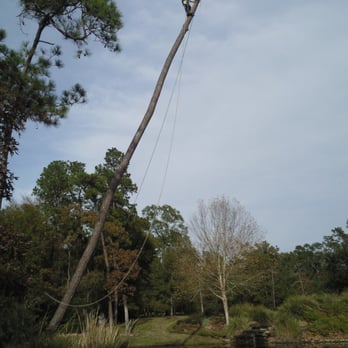 Tejas Tree Team - Cardenas Tree Service
www.cardenastreeservice.com - Tree Services Near Me - Magnolia, Texas Tejas Tree Team - Cardenas Tree Service
www.cardenastreeservice.com - Tree Services Near Me - Magnolia, Texas
