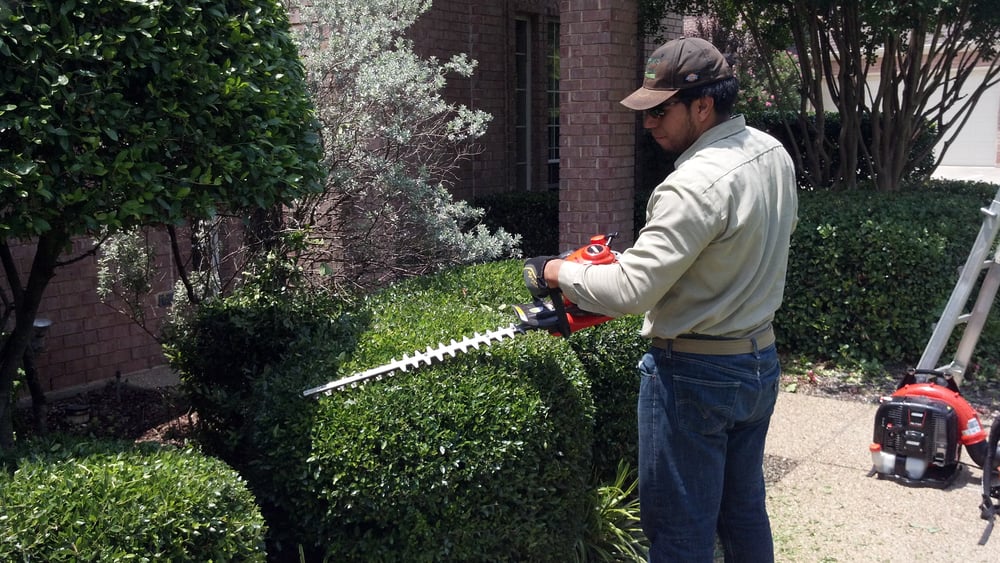 Andrew's Landscape & Land Maintenance - tree service in Fort Worth, TX