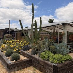 Isaac Farms