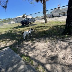 Dog Park - Dog park