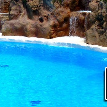 Pool Logistics - Pool & Hot Tub Service Near Me - Fort Worth, Texas Pool Logistics - Pool & Hot Tub Service Near Me - Fort Worth, Texas