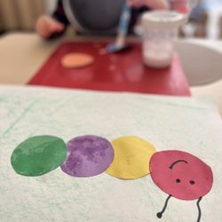 Lavender Fields Montessori