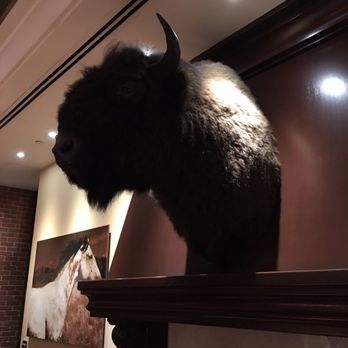 Thomsons Kitchen + Bar - Bison head - Breakfast & Brunch Near Me - Calgary, Alberta Thomsons Kitchen + Bar - Bison head - Breakfast & Brunch Near Me - Calgary, Alberta
