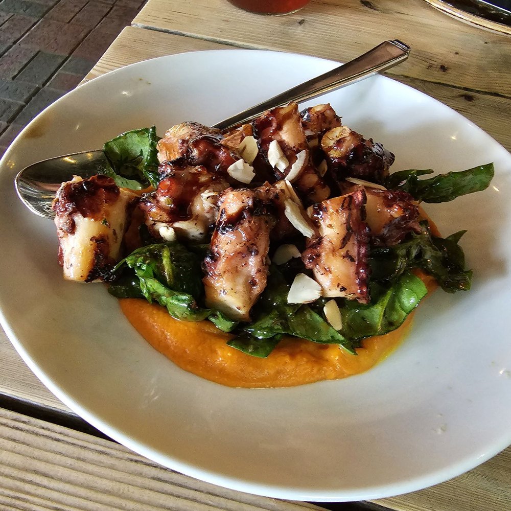 Vasili's Kitchen - Mediterranean Near Me - Gaithersburg, Maryland Vasili's Kitchen - Mediterranean Near Me - Gaithersburg, Maryland