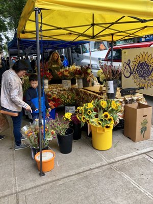 Tompkins Square Park Greenmarket by null