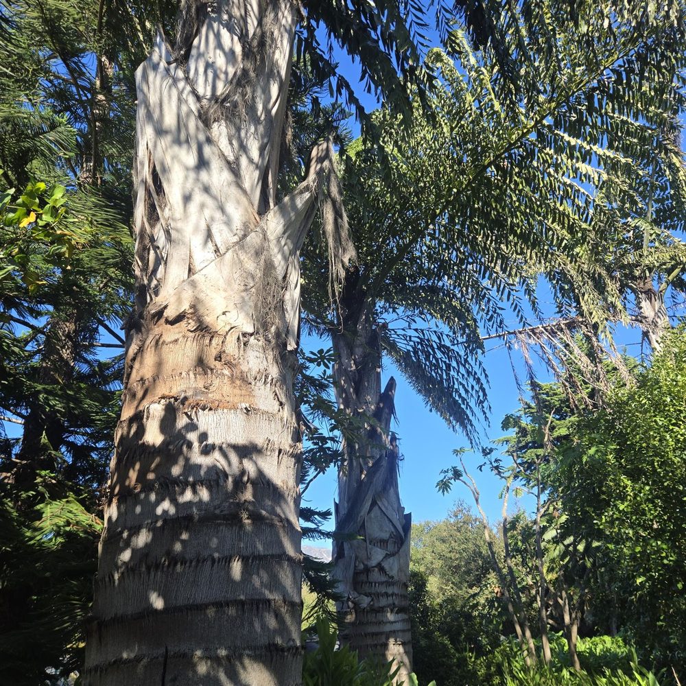 Seaside Gardens - Nurseries & Gardening Near Me - Carpinteria, California