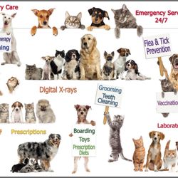 All Pet Center Veterinary Hospital, Hotel/ Spa - Some of the services we provide