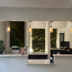 Complete Dentistry - Our calming reception area with living walls