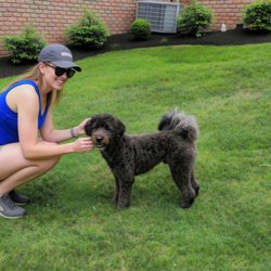 K9 Scooper Heroes - Friendly service for every family -- keeping yards clean so you and your dog can enjoy more time together.