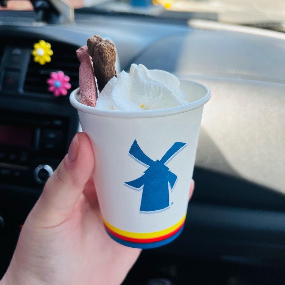 Dutch Bros Coffee - Cup of whip cream & two dog biscuits - Juice Bars & Smoothies Near Me - Turlock, California Dutch Bros Coffee - Cup of whip cream & two dog biscuits - Juice Bars & Smoothies Near Me - Turlock, California