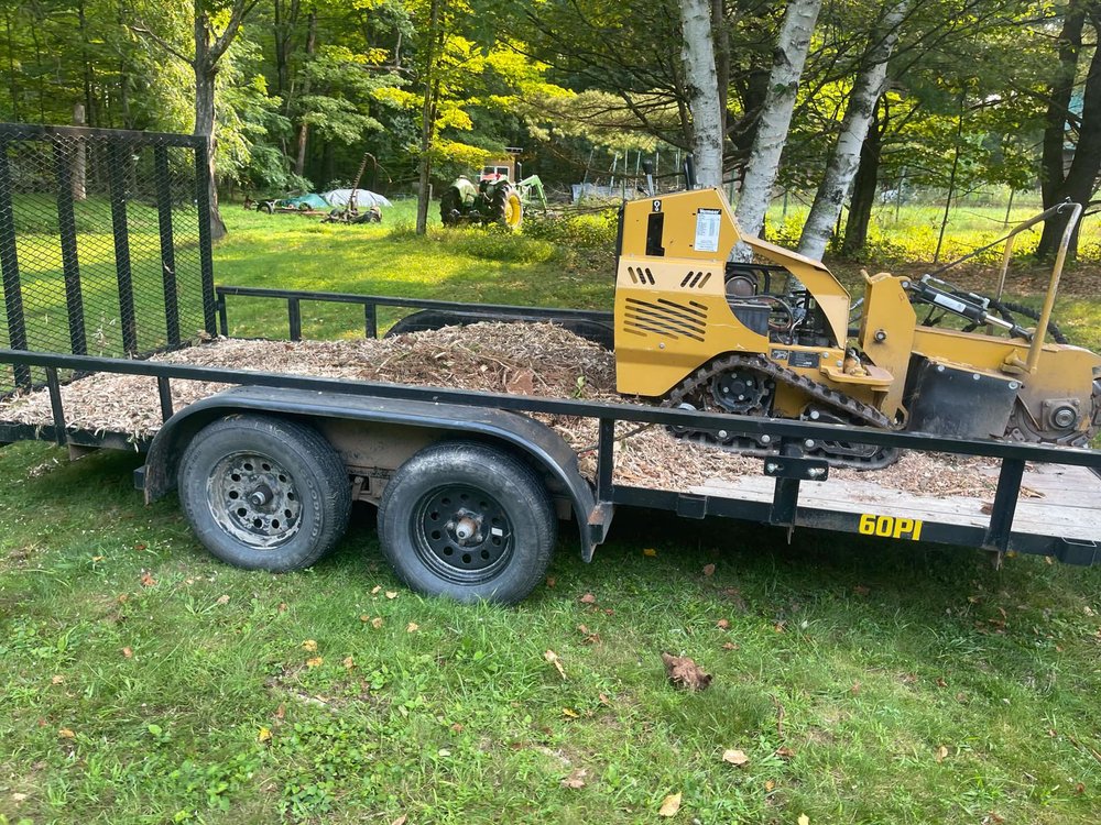 JJ Tree Service - tree service in Preston Hollow, NY