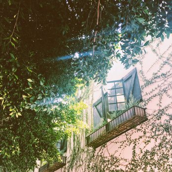 AOC - Hidden behind the trees - Cocktail Bars Near Me - Los Angeles, California