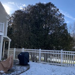 Mead Tree & Landscape - We a grouping large, over grown cedar trees blocking the sunlight from brightening our back porch