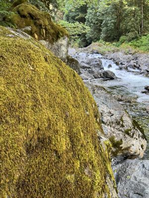 Twin Falls Natural Area by null