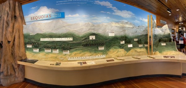 Giant Forest Museum by null