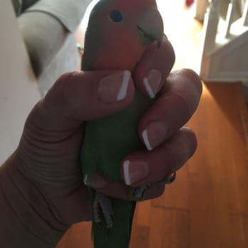 Princess Nails - Nail Salons Near Me - Clementon, New Jersey