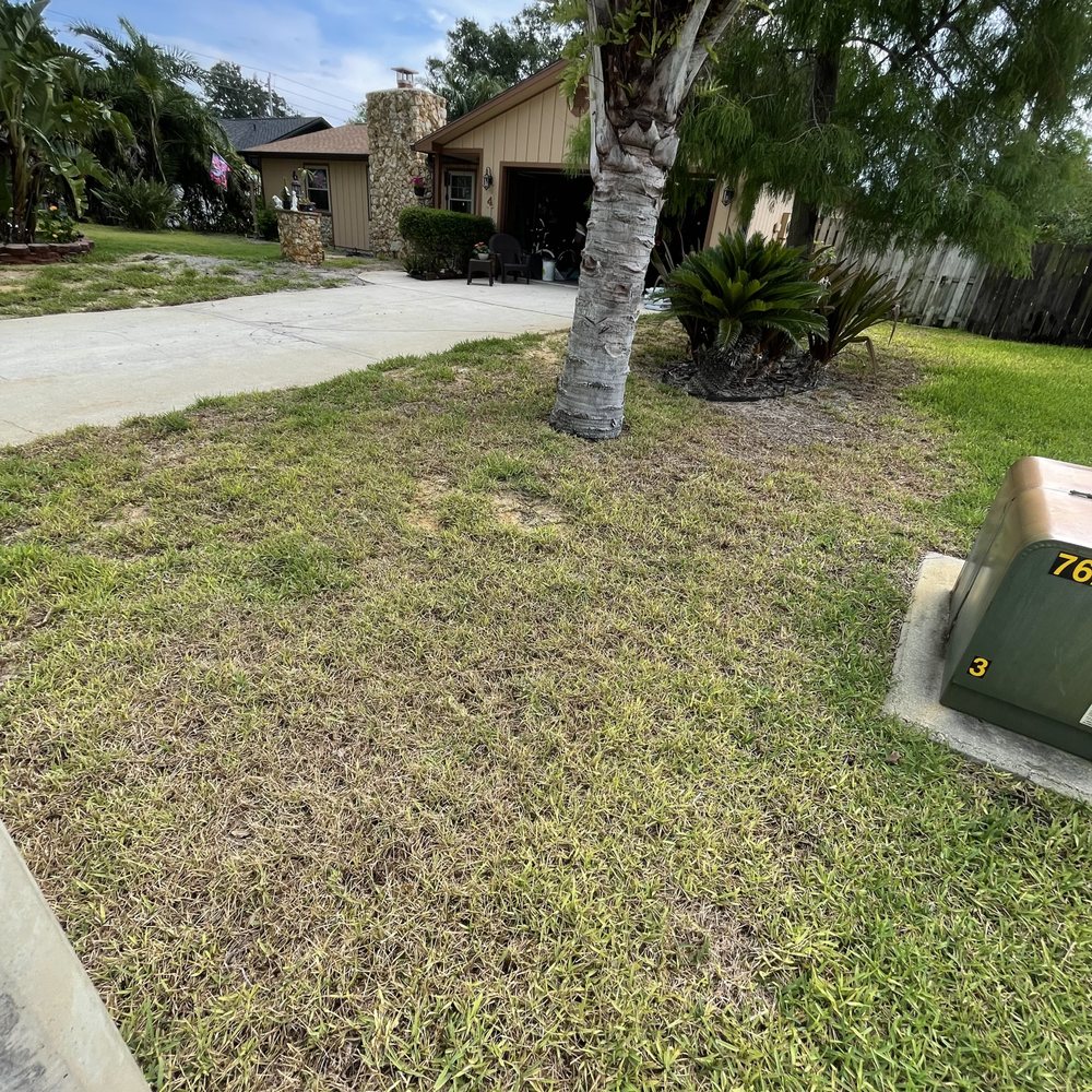 Toucan Lawn Care & Pest Control - It's an eye-catcher. - Lawn Services Near Me - Ormond Beach, Florida Toucan Lawn Care & Pest Control - It's an eye-catcher. - Lawn Services Near Me - Ormond Beach, Florida