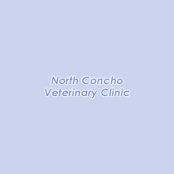 North Concho Veterinary Clinic - Veterinarians Near Me - San Angelo, Texas North Concho Veterinary Clinic - Veterinarians Near Me - San Angelo, Texas