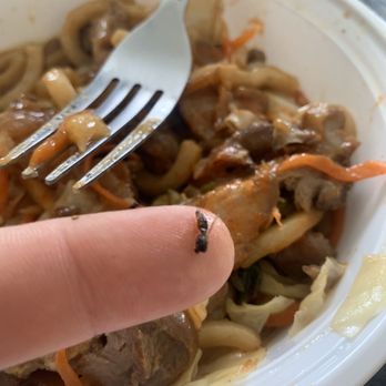 Sun Cuisines - A bug I found after biting down on a piece of wood in my food. - Burmese Near Me - Williamsville, New York