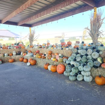 Van Groningen & Sons - Fruits & Veggies Near Me - Manteca, California