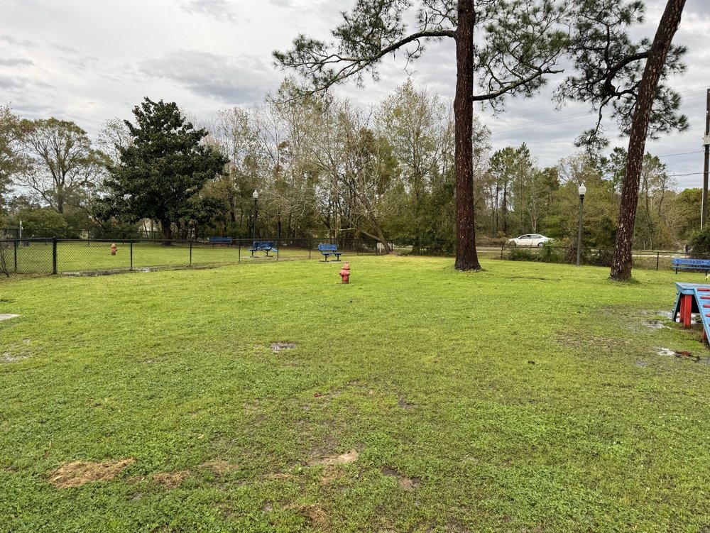 BARK PARK Updated September 2024 23 Photos 3317 Jeffrey Cir