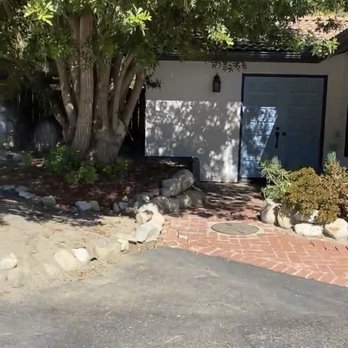 Ortega's Jr Tree Service - Brazillian Pepper BEFORE - Tree Services Near Me - Riverside , California Ortega's Jr Tree Service - Brazillian Pepper BEFORE - Tree Services Near Me - Riverside , California
