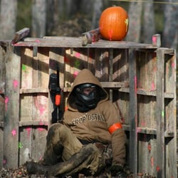 Fox Paintball Store - Pumpkins and paintball!