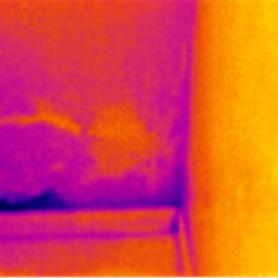 Iqa Home Inspections - What's that smell? Damp basement walls.