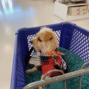 Lancaster Animal Care Center - So well behaved in public - Animal Shelters Near Me - Lancaster, California Lancaster Animal Care Center - So well behaved in public - Animal Shelters Near Me - Lancaster, California