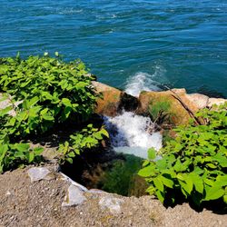 Broderick Park - Broderick Park
