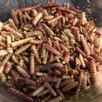 Mercado de La Merced - Worms, tasted pretty good! - Farmers Market Near Me - México, D.F., DIF Mercado de La Merced - Worms, tasted pretty good! - Farmers Market Near Me - México, D.F., DIF