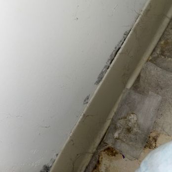 FDP Mold Remediation - Damage Restoration Near Me - Elizabeth, New Jersey
