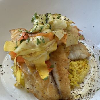 Blackfin Bistro - Yellow tail snapper, thick grated orange carrots and yellow squash over a bed of yellow rice with a coconut rum sauce - Seafood Near Me - Key West, Florida Blackfin Bistro - Yellow tail snapper, thick grated orange carrots and yellow squash over a bed of yellow rice with a coconut rum sauce - Seafood Near Me - Key West, Florida