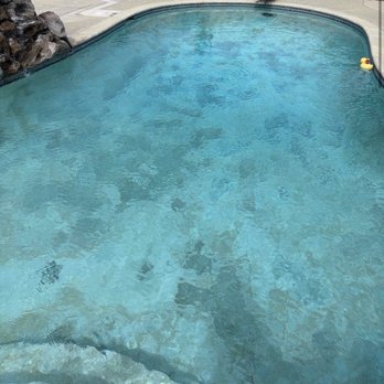 Chameleon Swimming Pool Services - This is another sample photo from the email service report. - Pool Cleaners Near Me - Fullerton, California Chameleon Swimming Pool Services - This is another sample photo from the email service report. - Pool Cleaners Near Me - Fullerton, California