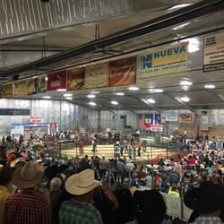 Rodeo at Lake County Sports Center