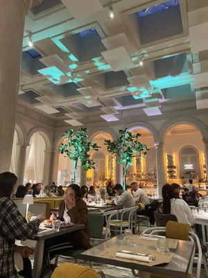 Ginger - Spagna by null