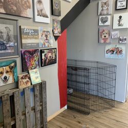 Nose To Tail Pet Grooming - Grooming Service That Turns Heads and Wags Tails