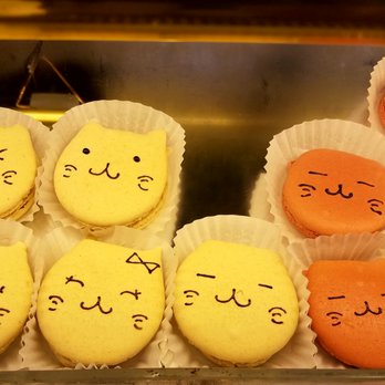 Seattle Meowtropolitan - Big macarons - Themed Cafes Near Me - Seattle, Washington Seattle Meowtropolitan - Big macarons - Themed Cafes Near Me - Seattle, Washington