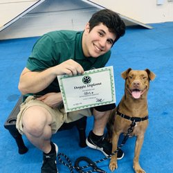 Pet Training In North Miami Beach Yelp