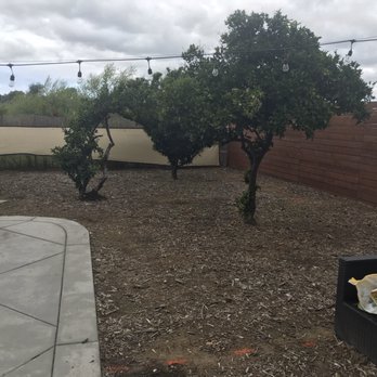 Turfworx - Before - Artificial Turf Near Me - El Cajon, California Turfworx - Before - Artificial Turf Near Me - El Cajon, California