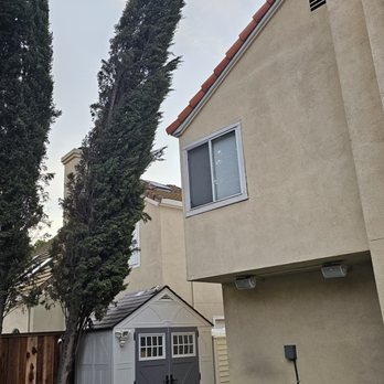 Appletree Services - Tree leaning - Pic #1 - Tree Services Near Me