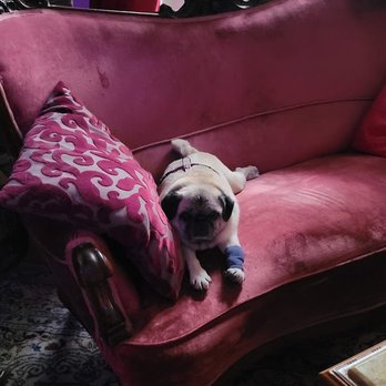 Café Kalwil - It's the Pug's couch - Cafes Near Me - Berlin, BE