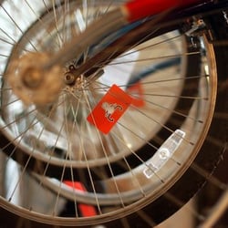 Bucephalus Bikes